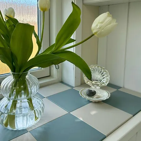 Charming Summer House Near Nordstrand Casa vacanze